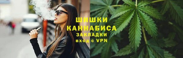 шишки Алзамай