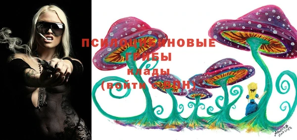 спайс Алексин