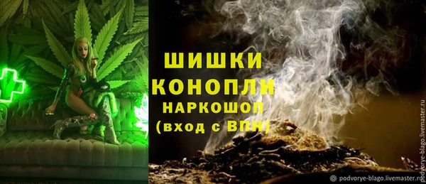 шишки Алзамай