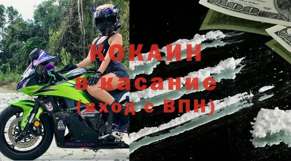 шишки Алзамай
