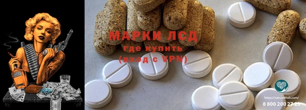 шишки Алзамай